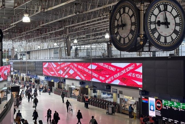 "벽에 꽂힌 꽃 다 가져갔더니"…서울 한복판서 '러브송' 캠페인 주인공은