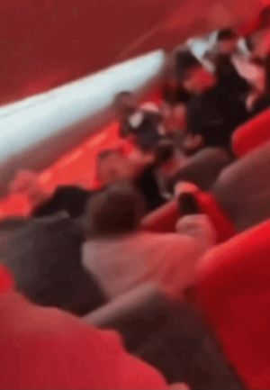 "제발 그만 좀 싸우세요" 비명 터진 기내…집단 몸싸움에 결국