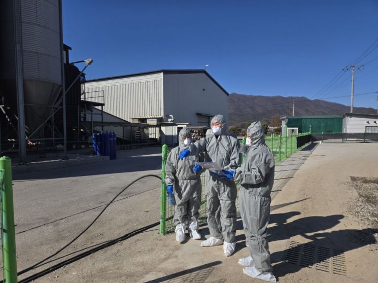 포천시가 17일 창수면 소재 산란계 농장에서 고병원성 조류인플루엔자(AI)가 발생함에 따라 즉각적인 긴급 방역조치를 실시하고 있다. 포천시 제공