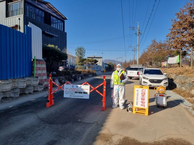 포천시가 17일 창수면 소재 산란계 농장에서 고병원성 조류인플루엔자(AI)가 발생함에 따라 즉각적인 긴급 방역조치를 실시하고 있다. 포천시 제공