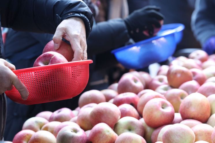 "사과 하나 집었다가 동공 지진"… 명절 끝났는데 집 나간 물가는 안 돌아오네