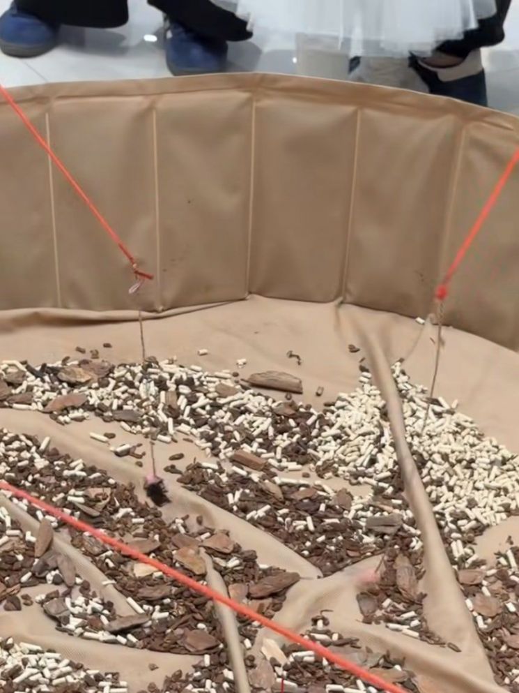 "아이들에 학대 가르치나"…'6천원 내면 사슴벌레 낚시' 대형 쇼핑몰 행사 논란