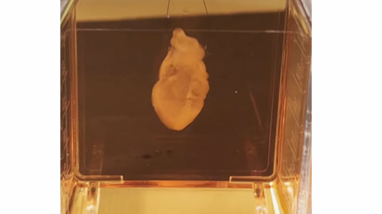 고장 난 심장에 새 근육 '착'…노벨상 받은 '마법 세포' 드디어 日서 상용화