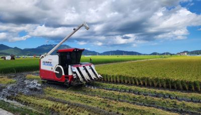 전남도가 쌀값 정상화를위해 수급조절용 벼 재배 농가를 모집한다. 전남도  제공
