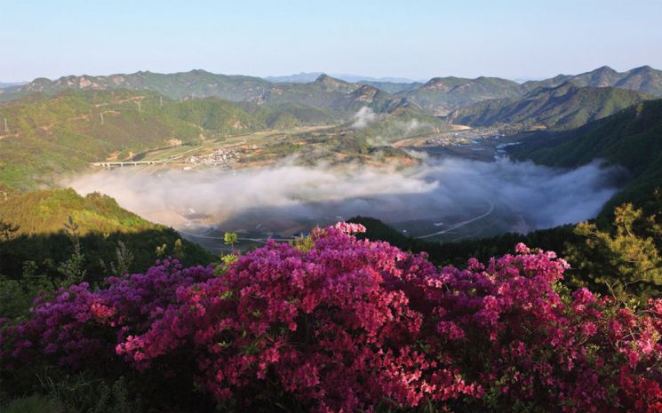 '1인당 80만원' 지원금 푼다…소득·자산 관계 없이 지급한다는 '이곳'