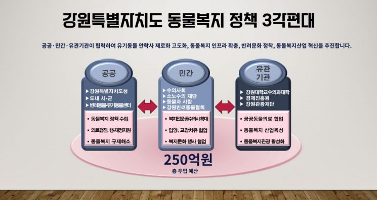 동물복지 정책 인포그래픽. 강원도 제공