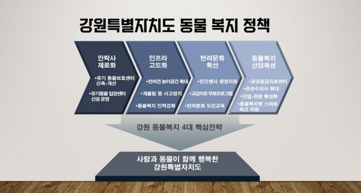 동물복지 정책 인포그래픽. 강원도 제공