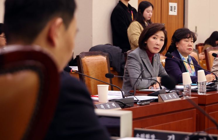 '내란·외환죄' 사면 금지법, 野 반발 속 국회 법사소위 통과(종합)