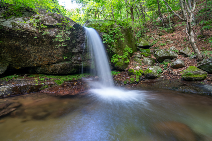 양구군, 연간 관광객 48만명 돌파…‘한반도섬·DMZ’가 이끌었다