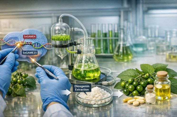 '까마중' 잡초에서 의약품 원료공장으로 탈바꿈