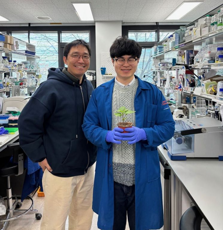 '까마중' 잡초에서 의약품 원료공장으로 탈바꿈