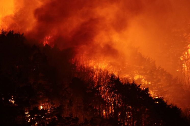 함양군 산불 진화율 37%… 일출과 동시에 헬기 51대 투입 '총력 대응'