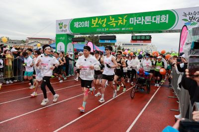 보성군, '보성녹차마라톤대회' 메타세쿼이아 길 달린다