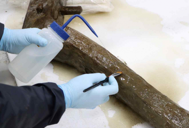 1500년 잠든 '고구려 눕쟁기' 깨웠다…몽촌토성 유물 복원