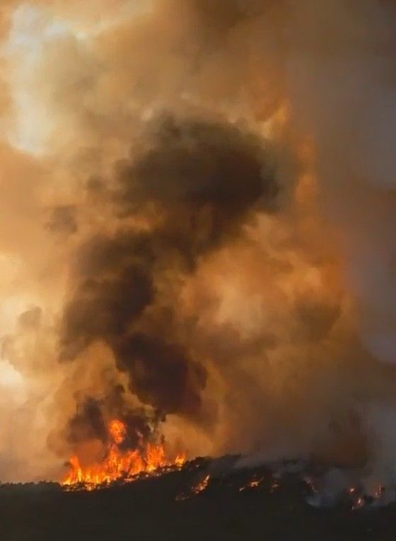밀양 산불에 국가소방동원령…민가 확산 우려(상보)