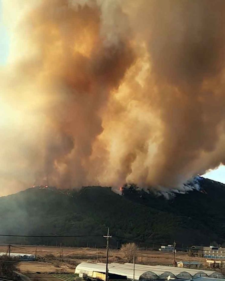 밀양 산불에 국가소방동원령…민가 확산 우려(상보)