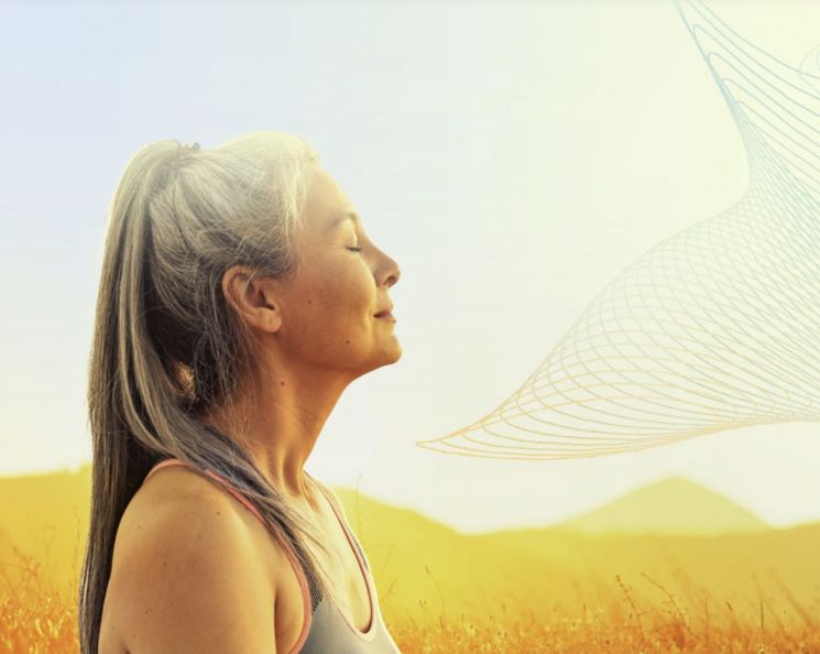 하루 만에 80% 폭락…'13m 개선' 임상 기준 미달한 고사머바이오[뉴욕특징주]