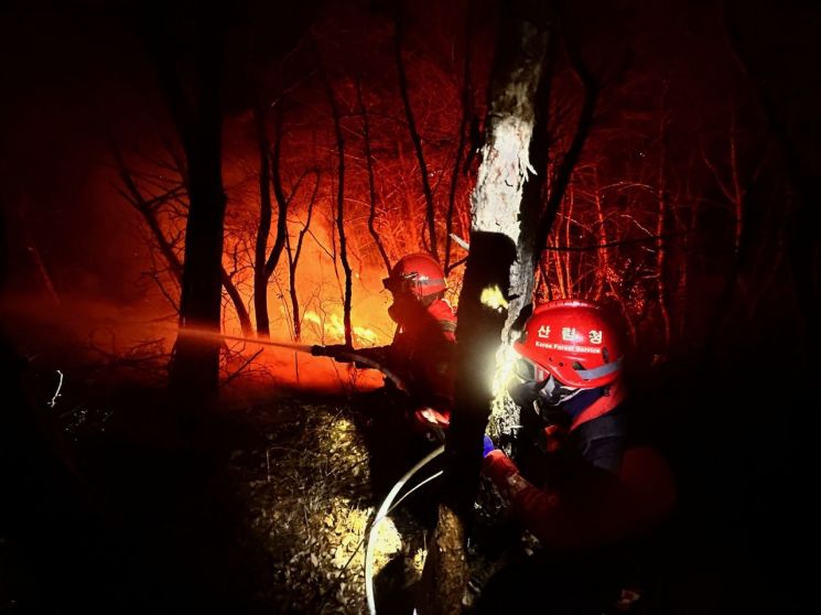 '산림청 지휘' 밀양 산불 진화율 51%…대응 2단계