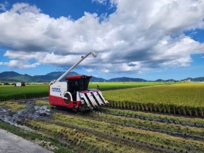 식량작물 생산량 전국 1위 전남…예산 더 투입한다