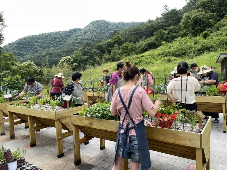'치유농업 시설' 첫 인증…"전문서비스 정착 출발점"