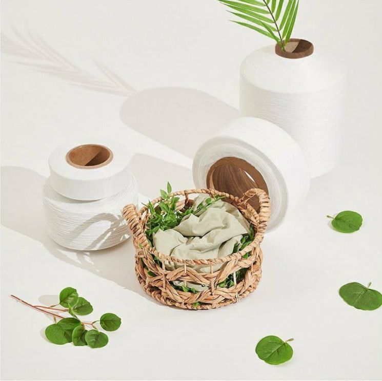 마라톤으로 실천하는 ESG…효성티앤씨·카카오뱅크 친환경 협약