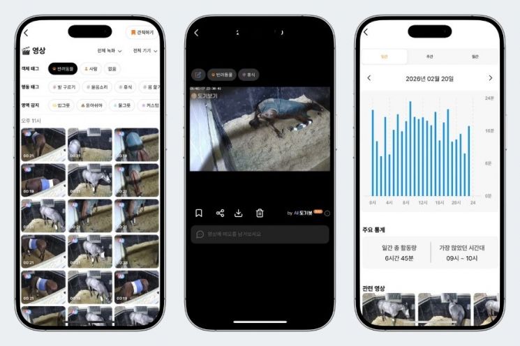 AI로 세계적 경주마 건강 지킨다
