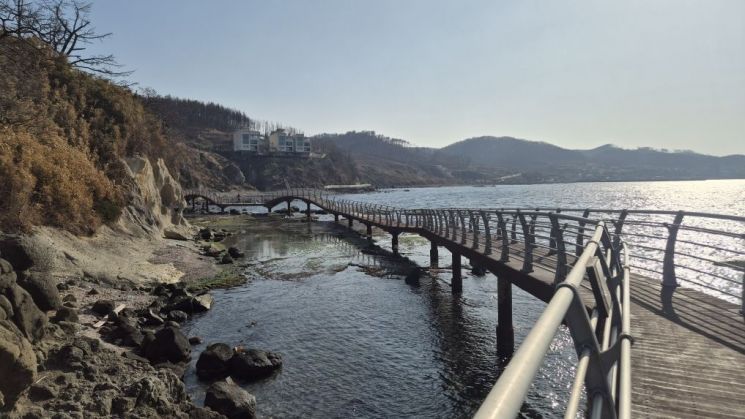 포항 호미반도 해안둘레길, 새단장 마치고 상춘객 맞이