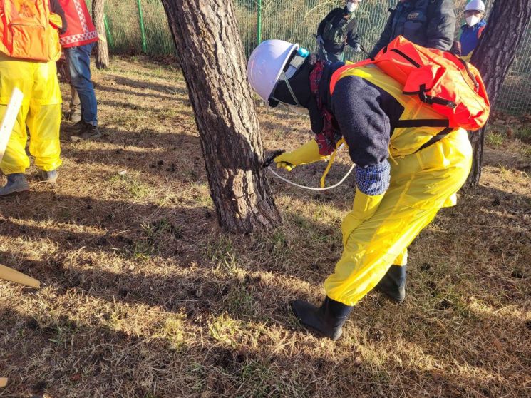 동해시, 소나무재선충병 확산 방지 총력…255ha 규모 예방사업 추진