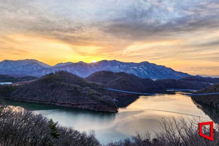 '멸종위기' 노란목도리담비 포착…현대모비스 생태계 복원 결실