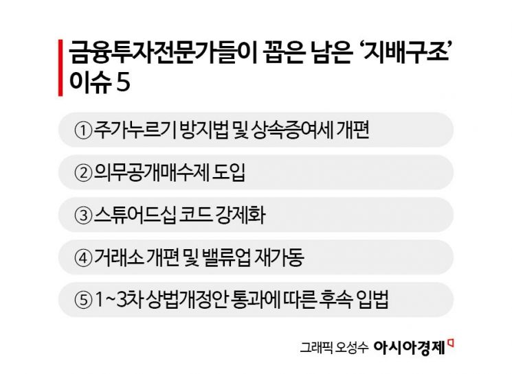 3차 상법개정안도 국회 통과…남은 '지배구조' 이슈는?