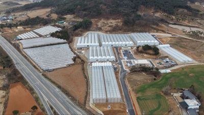 고창군 '청년농업인 스마트팜단지' 입주 청년농업인 모집