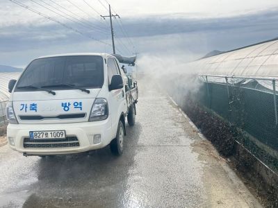 전남도, 구례 육용오리 농장서 조류인플루엔자…방역 강화