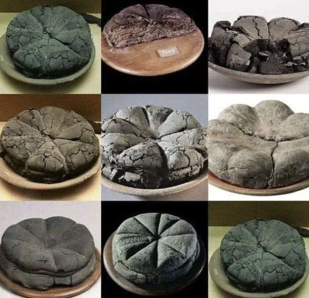 화산 폭발로 화석 된 빵…그 안에 발효된 고대인의 삶 [맛있는 이야기]