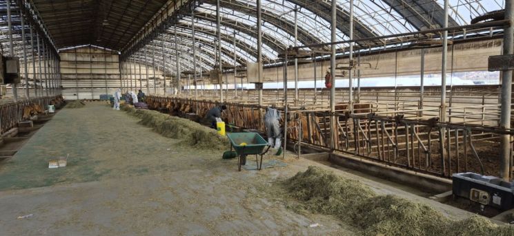 고양시, 일주일 만에 추가 구제역 발생…축산 밀집지역 ‘비상’