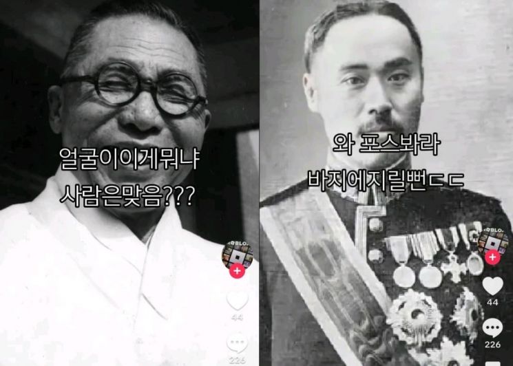 김구 선생 조롱하고 이완용 찬양?…독립운동가 조롱 AI 영상 SNS서 활개
