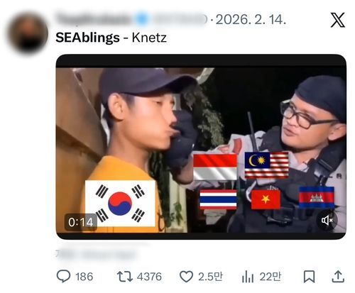 "한국은 성형왕국"…동남아 누리꾼들 틱톡 도배하는 이유는