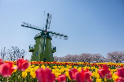 "꽃이 피면, 순천 정원의 도시가 숨 쉰다"