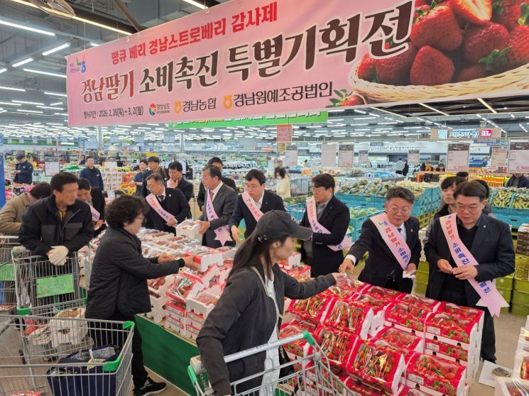 최대 30% 할인 … 김해서 '경남 딸기 소비 촉진 특별기획전'