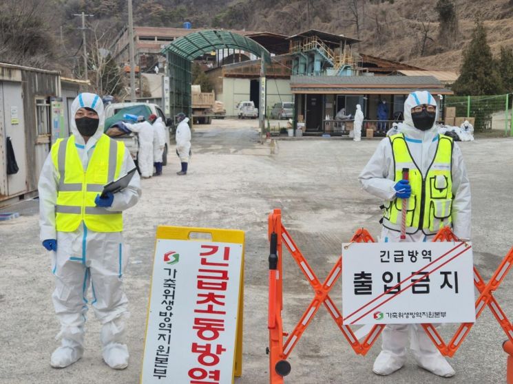 경남서 4번째 아프리카돼지열병 … 박완수 지사 '긴급 특별지시'