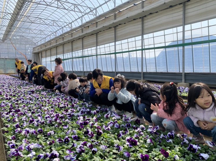 '꽃으로 배우는 농업'… 울산시 농업기술센터, 초화양묘장 체험교육 실시