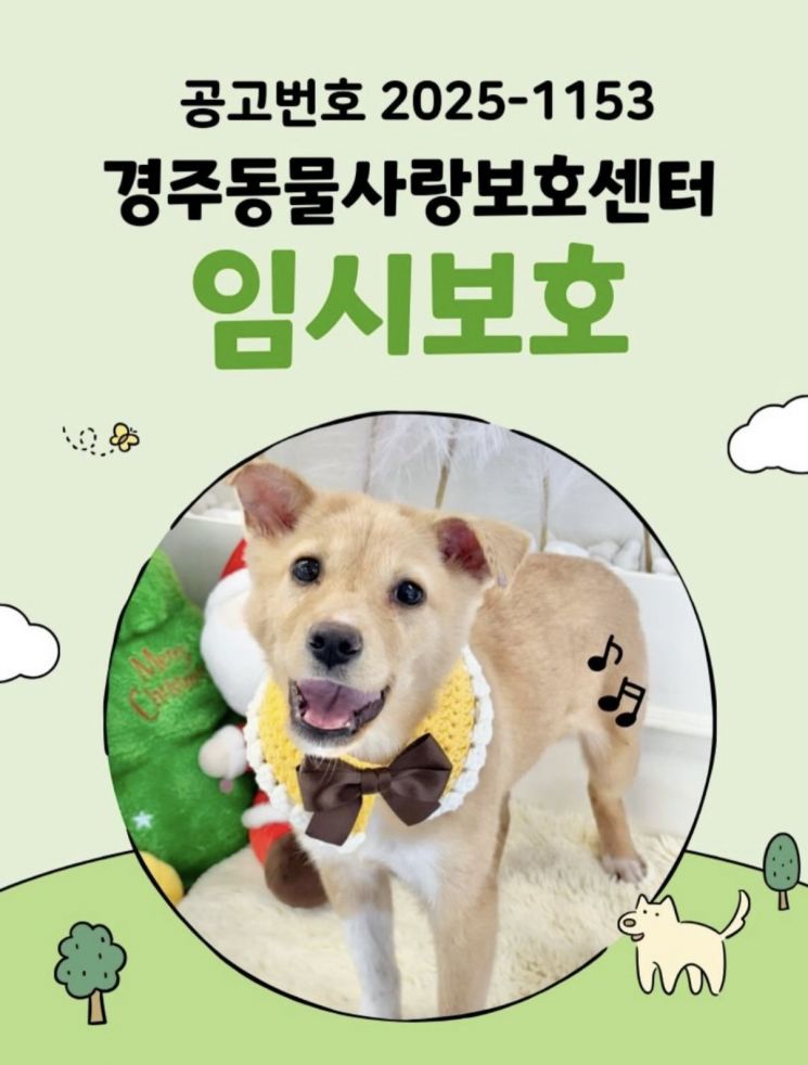 낭떠러지 고립 45일…127일 만에 새 가족 만난 유기견 '여울이'