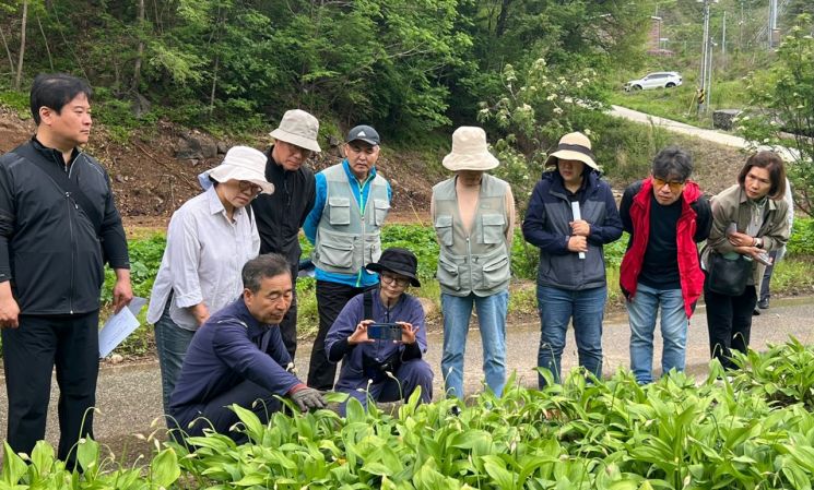 인제군, ‘귀농형 살아보기’ 모집…모종부터 유통까지 전 과정 직접 경험