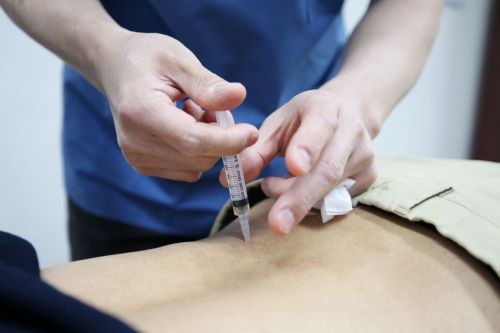 자생한방병원 "척추 압박골절 한의통합치료 통증·기능 개선"