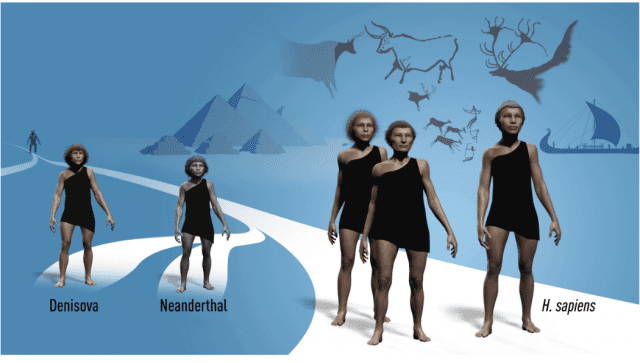 호모 사피엔스女 , 왜 네안데르탈男 선호했을까…새 연구 결과 주목