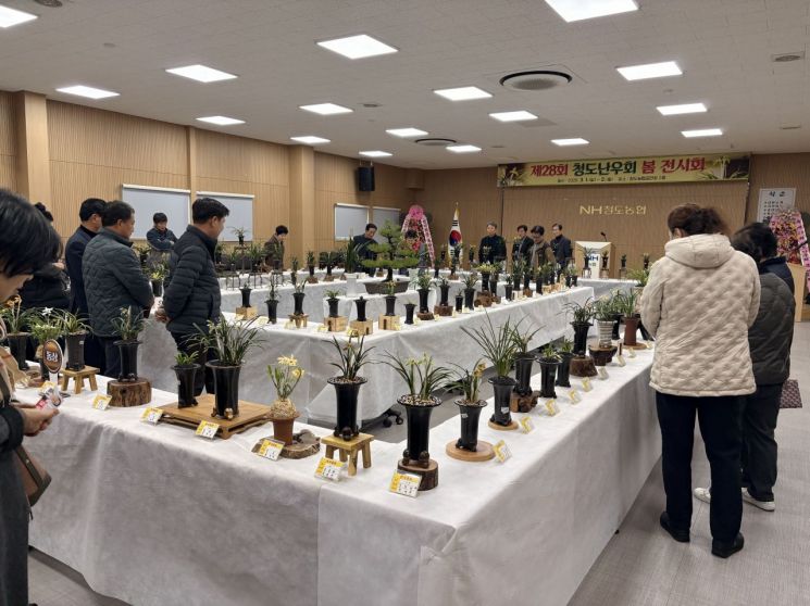 난 향기 가득한 청도의 봄…제28회 청도난우회 봄 전시회 행사에 주민·애란인 발길 -