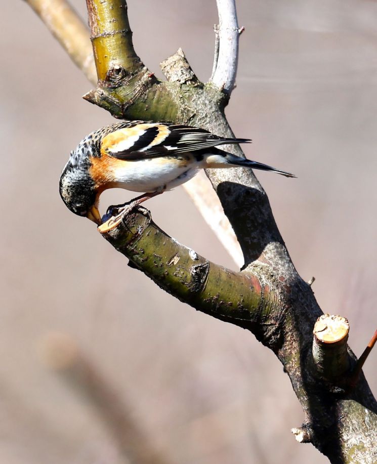 [내일 날씨]광주·전남 아침 짙은 안개 주의…낮 최고 15도 포근