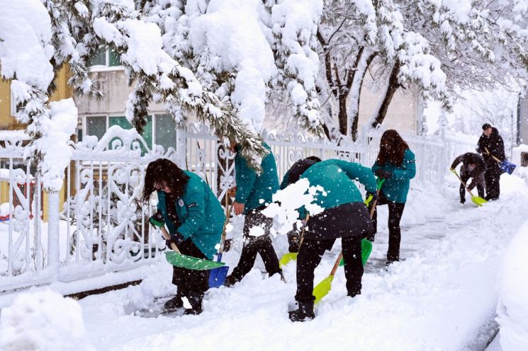 태백시, 대설경보 속 전 공무원 투입…‘스마트 열선’ 제설 효과 톡톡