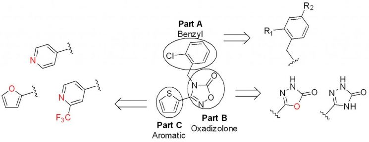 반복 발작 일으키는 소아 뇌전증 '드라베 증후군' 치료 새 길[과학을읽다]