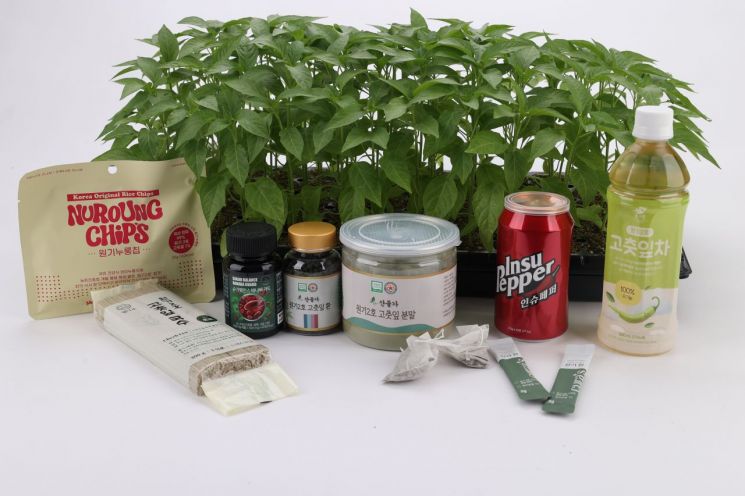 잎 전용 고추 품종인 '원기2호'로 만든 제품들. 농진청