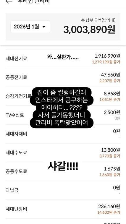 아옳이가 공개한 지난 1월 관리비 고지서 내역. 총 300만3890원이 청구됐다. 아옳이 인스타그램